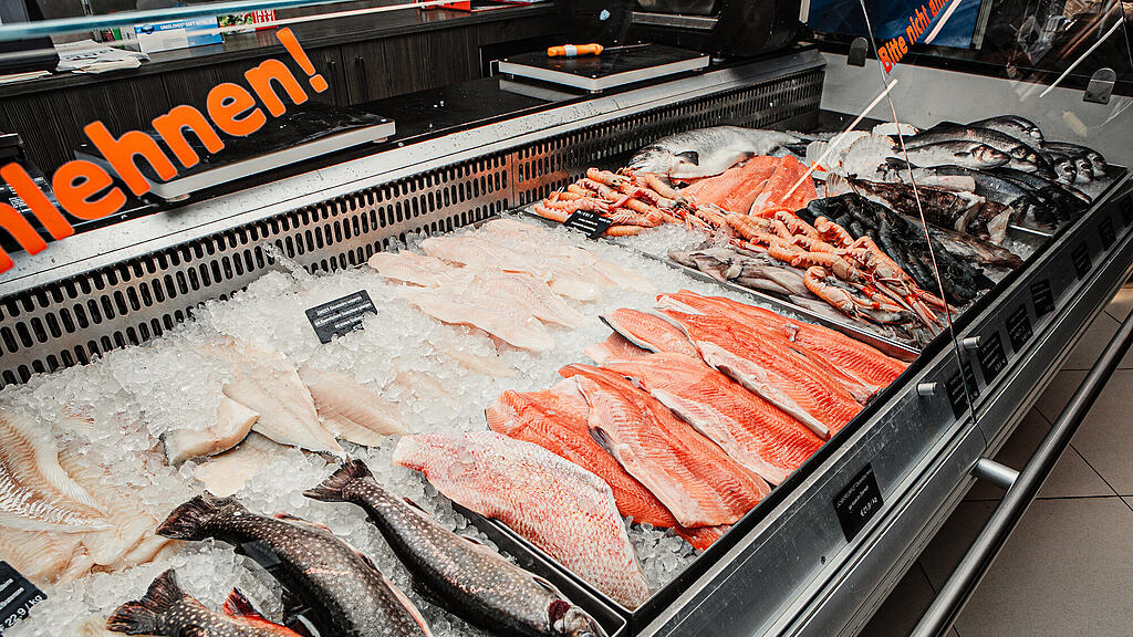 Walter Grüll, Sonntagstalk, Fisch, Fischzüchter