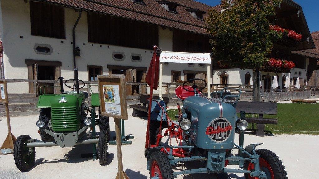 Impressionen der Tiere