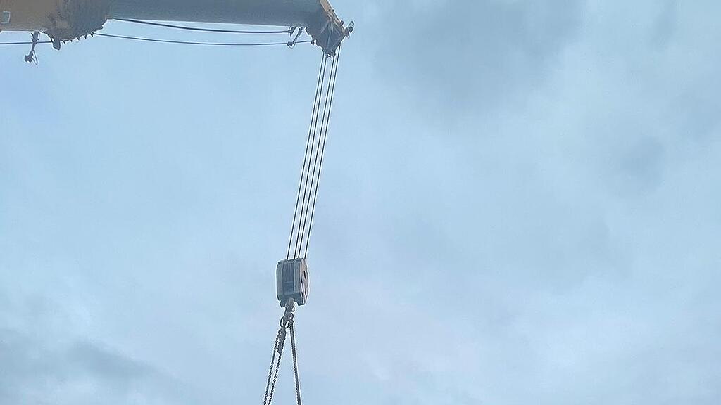 Christbaum wird verladen