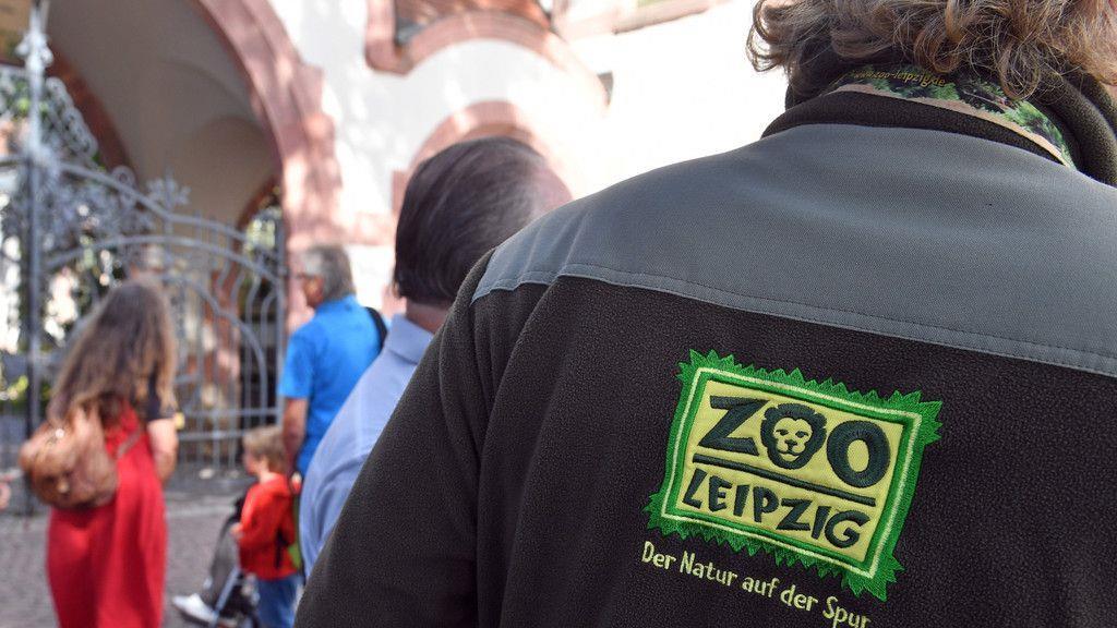 Löwen im Zoo Leipzig ausgebrochen