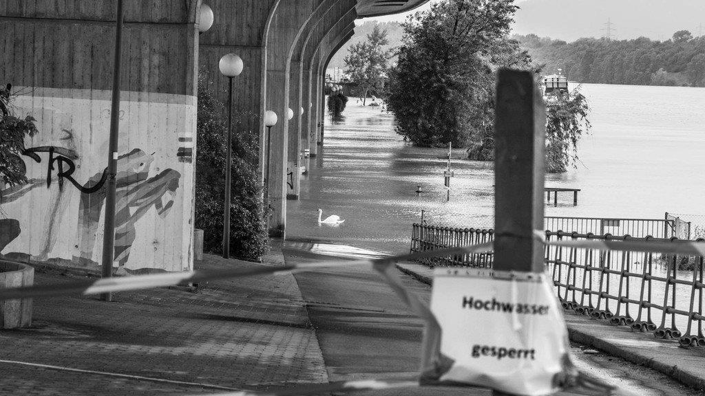 Hochwasser in Wien