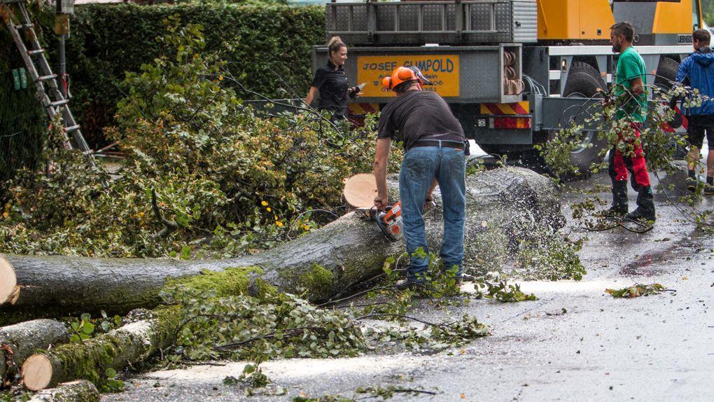 Unwetter: Aufräumarbeiten in Rif