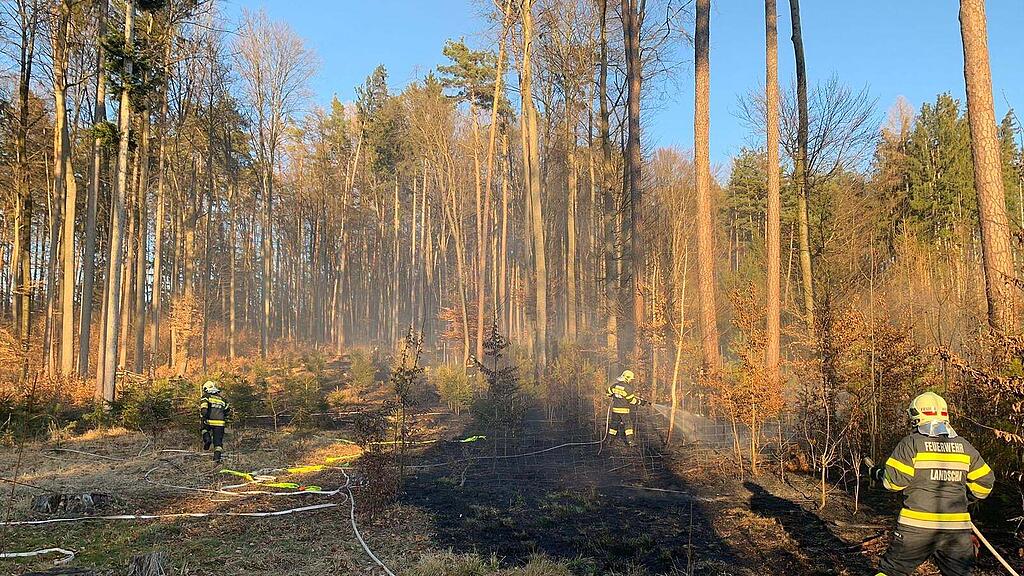 Waldbrand_Krottendorf
