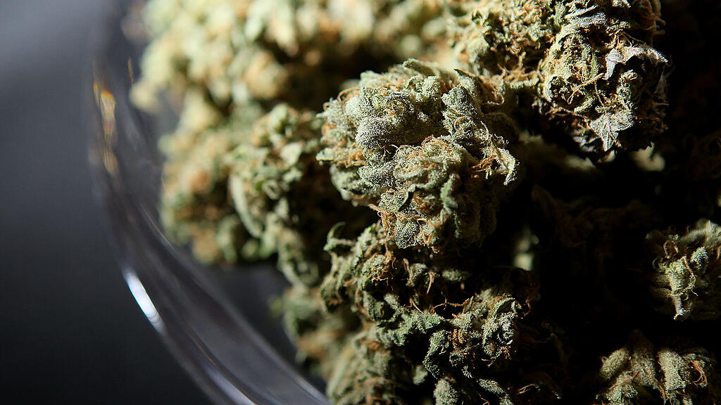 Ab September soll der Cannabis-Konsum in Kanada legal sein. (Symbolbild)
