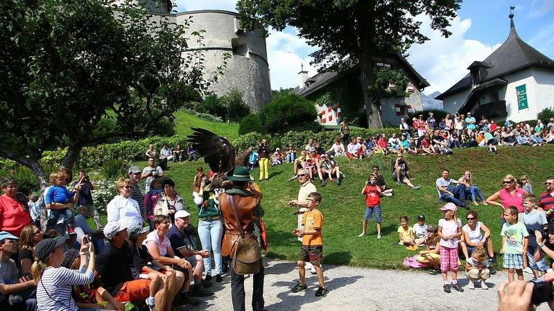 Falkenshow auf Burg Hohenwerfen