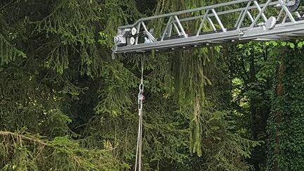 Schwerer Forstunfall in Loh: Mann unter Baum eingeklemmt