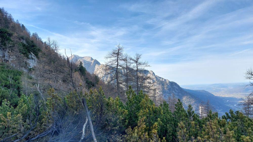Waldbrand in Golling