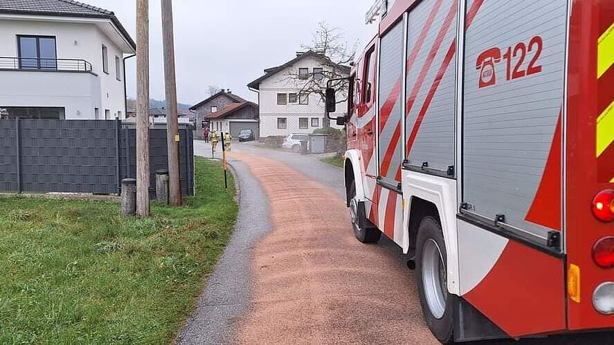 ölspur thalgau