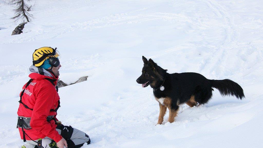 Superhunde im Einsatz