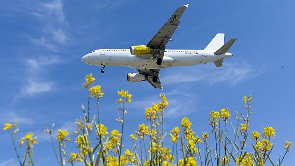 Vueling-Verträge sind laut Experten nicht schlechter als bestehende