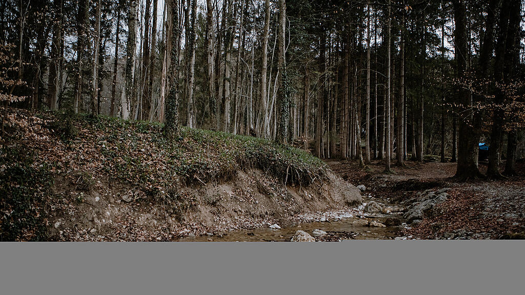 Nachmittagsspaziergang Hexenloch