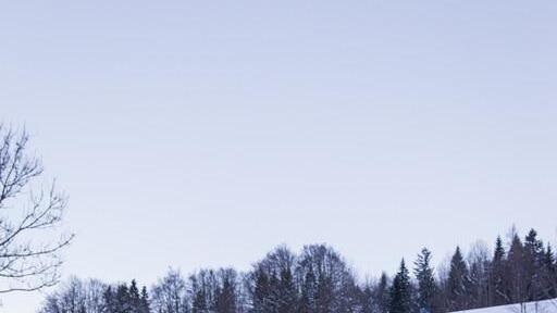 GaissauHintersee- Trophy I