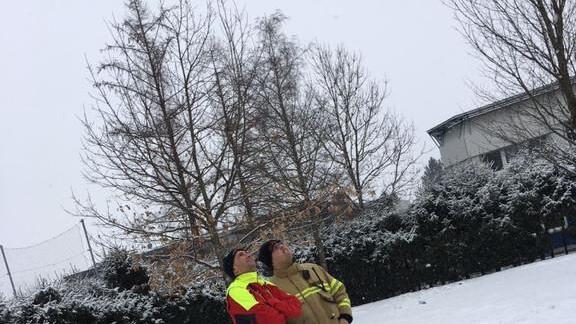 Feuerwehr Grödig rettet Katze von Baum