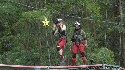 Dschungelcamp 2014: Tag 8: Mola bricht die Prüfung ab