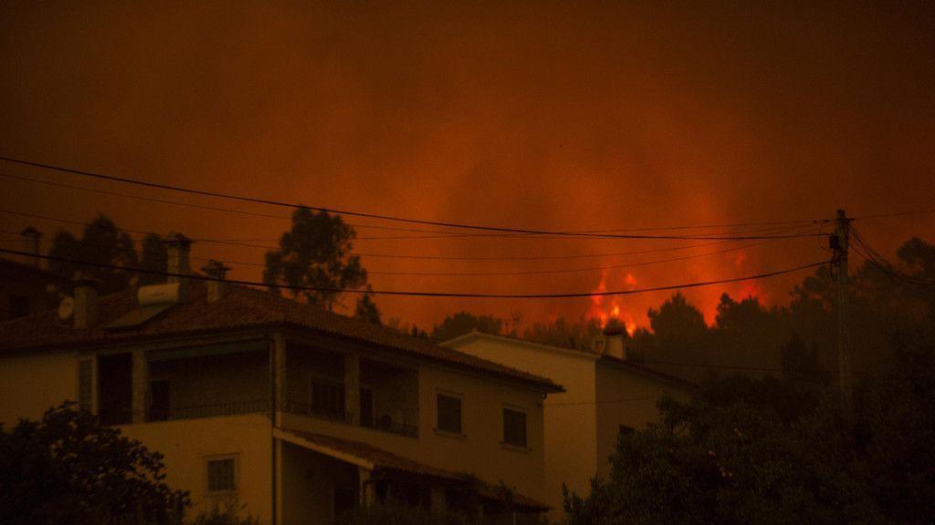 Waldbrand in Portugal