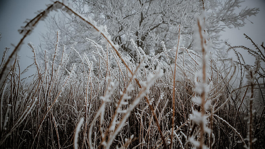 Schnee am Gaisberg