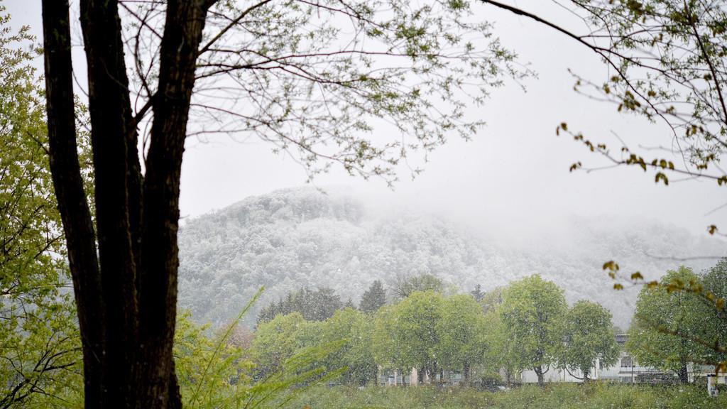 Schnee in Salzburg