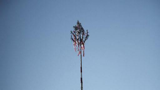 Maibaumaufstellen in Aigen