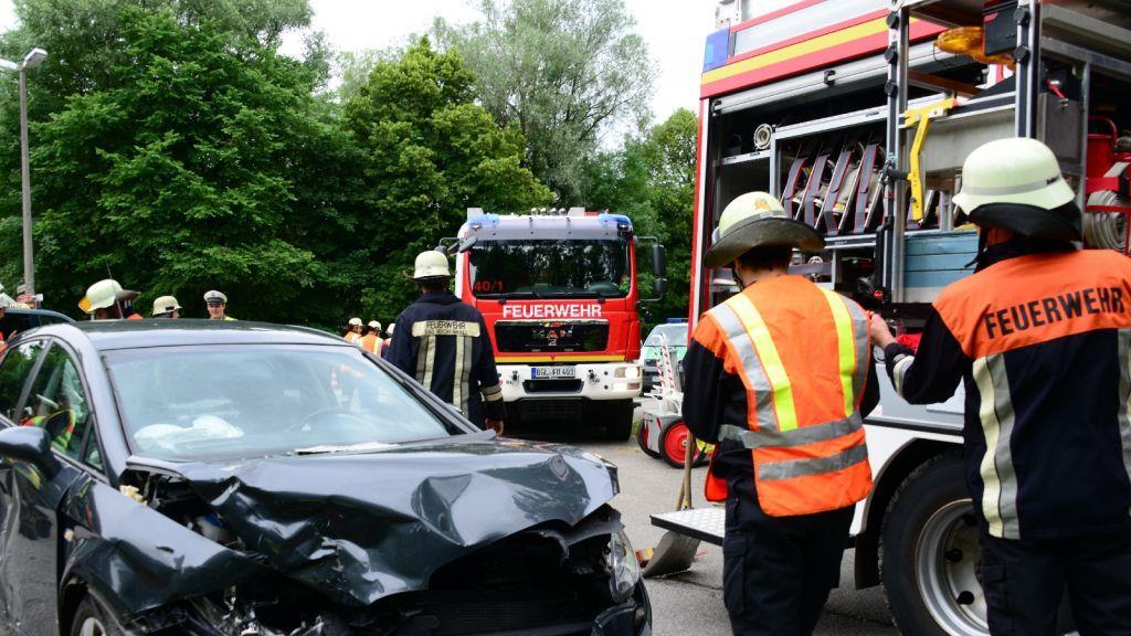 Pinzgauerinnen in Bayern verletzt, I