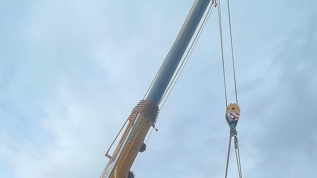 Christbaum wird verladen