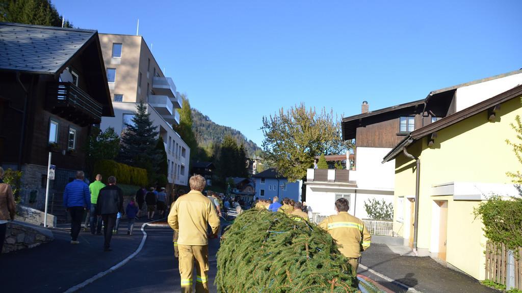 Schwarzacher Vereine bringen Maibaum