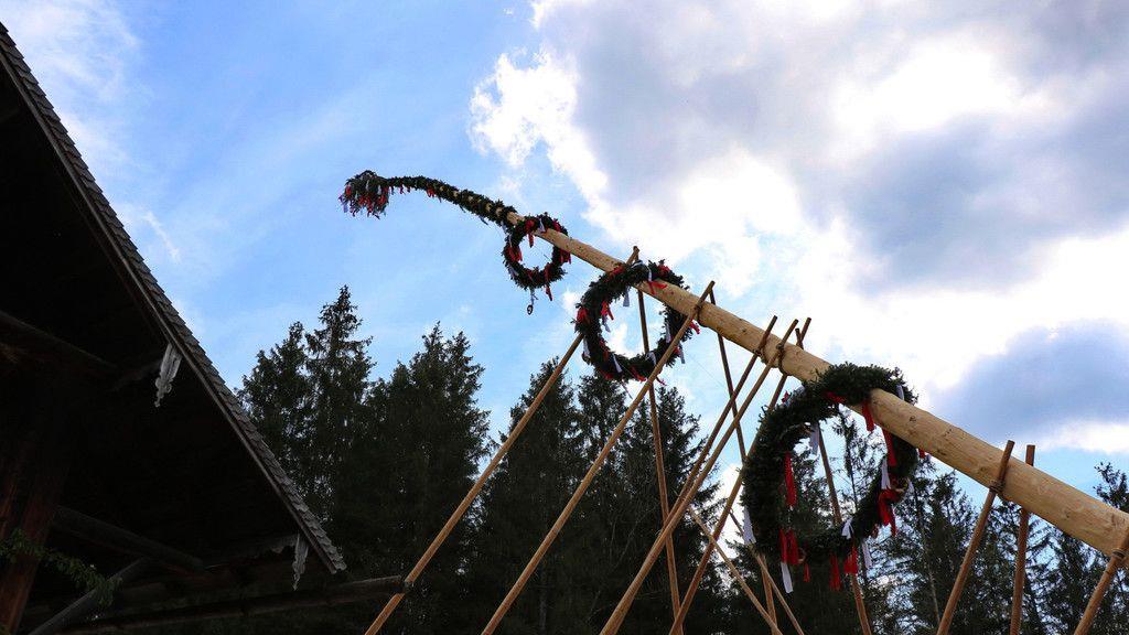 Maibaumaufstellen im Freileichtmuseum