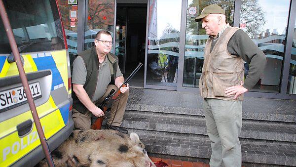 Eines der beiden aggressiven Wildschweine wurde erschossen