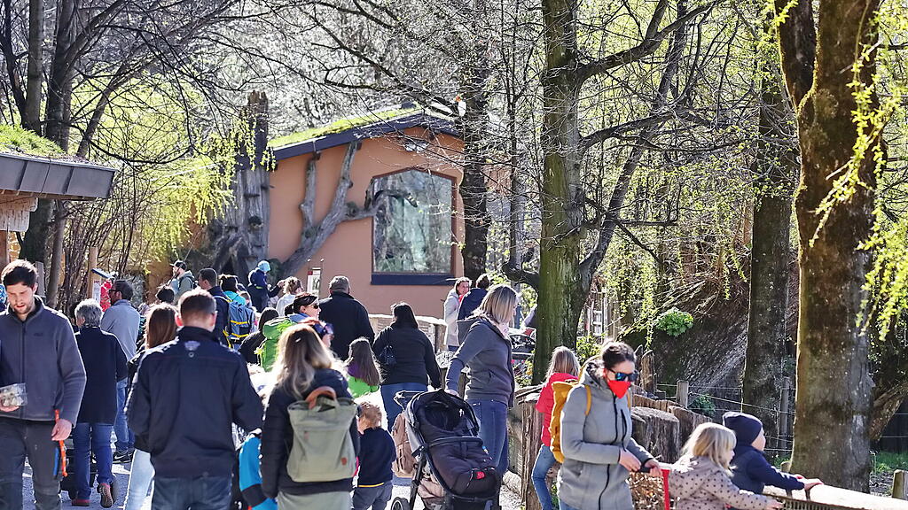 Andrang auf Zoo Hellbrunn