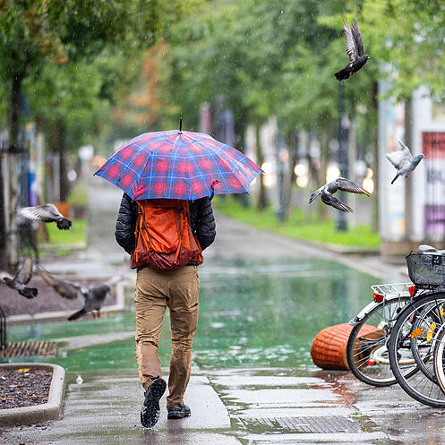 Regen, Wetter