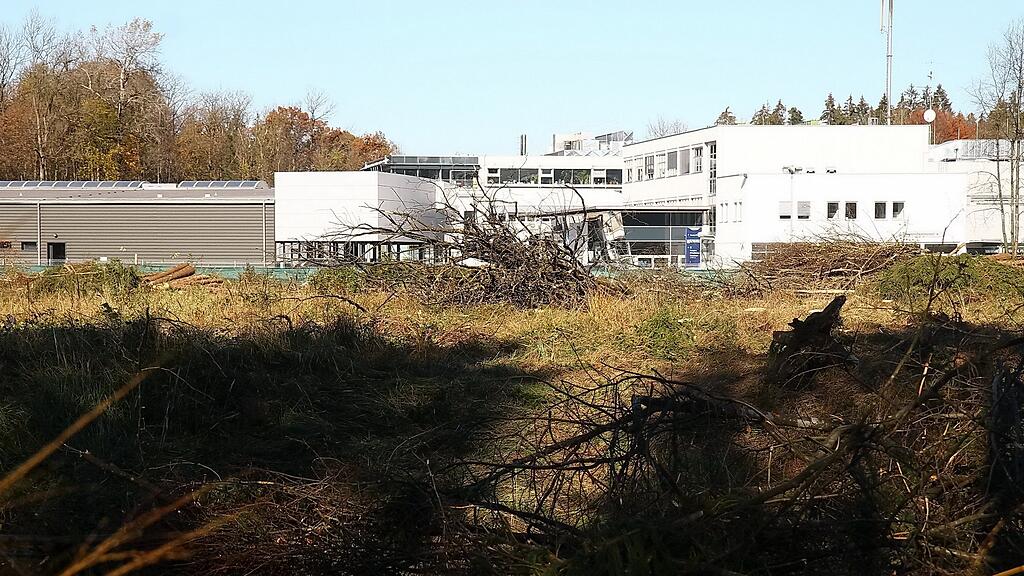 Die Rodungen bei MACO sind so gut wie abgeschlossen.