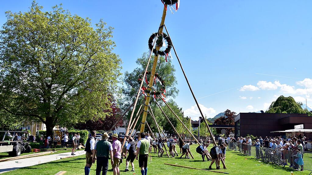 Maibaumaufstellen in Grödig