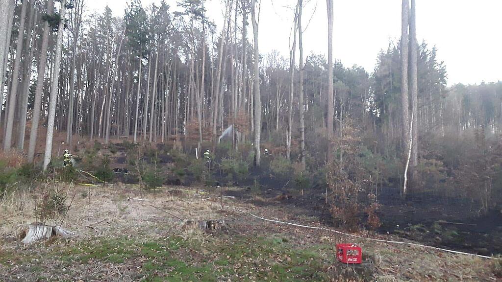 Waldbrand_Krottendorf
