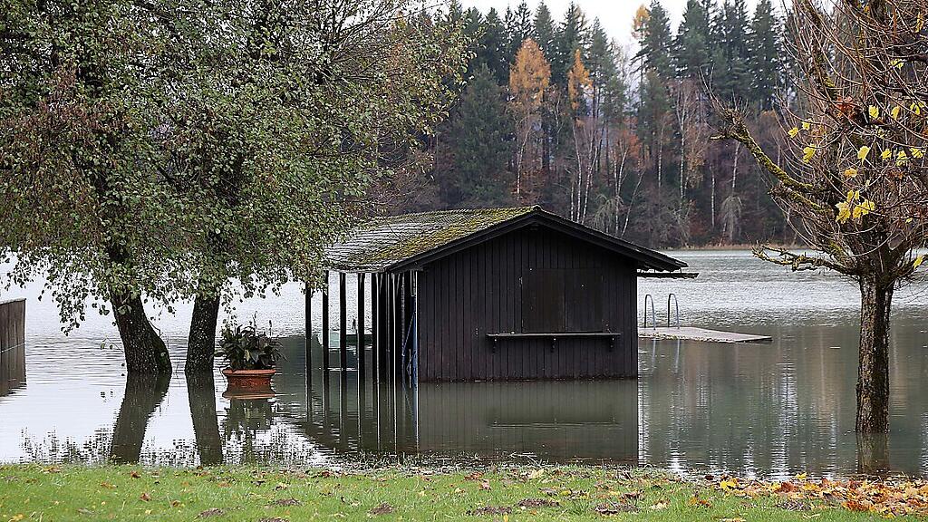 Der Herbst war viel zu nass