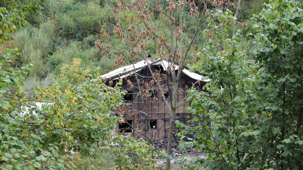Brandruine am Tag danach
