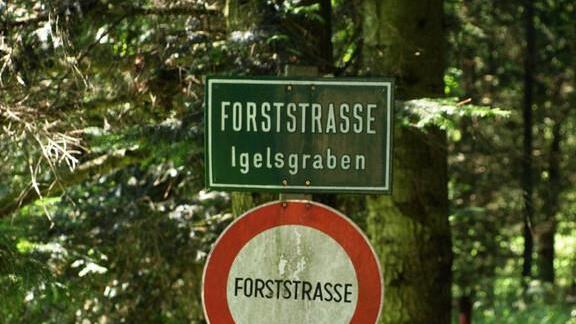 Tödlicher Forstunfall in Pöndorf