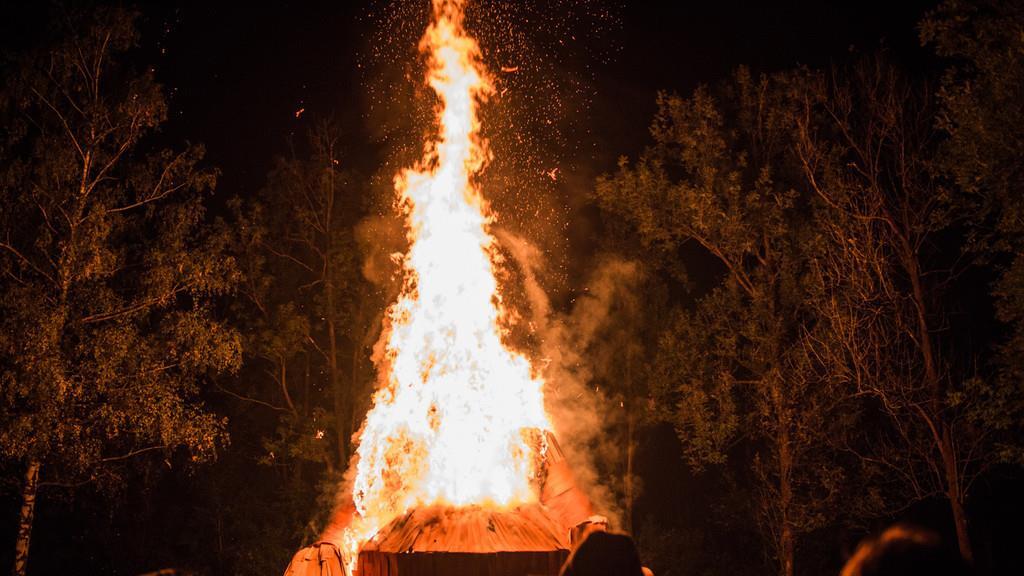Burning Animal I