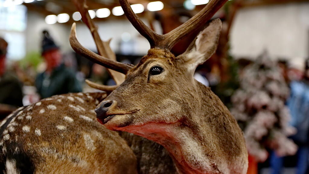 Hohe Jagd und Fischerei: FR