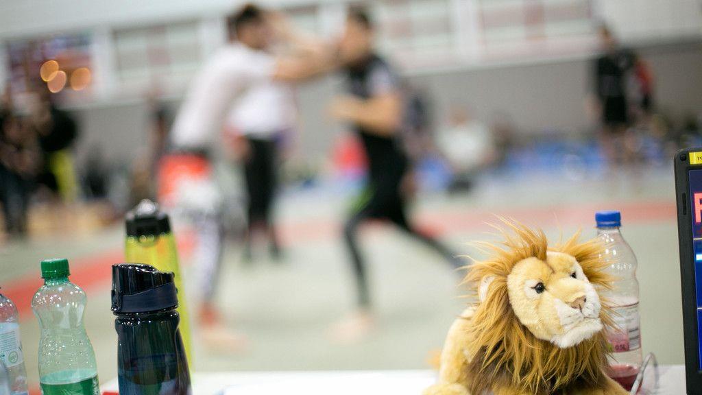 Groundfighters kämpfen in der Sporthalle Alpenstraße