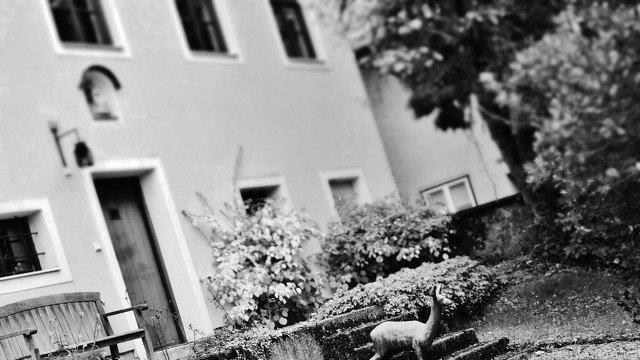 Goldener Oktober in Salzburg