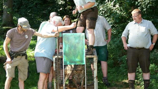 Fritzi wurde wieder ins Gehege zurückgebracht