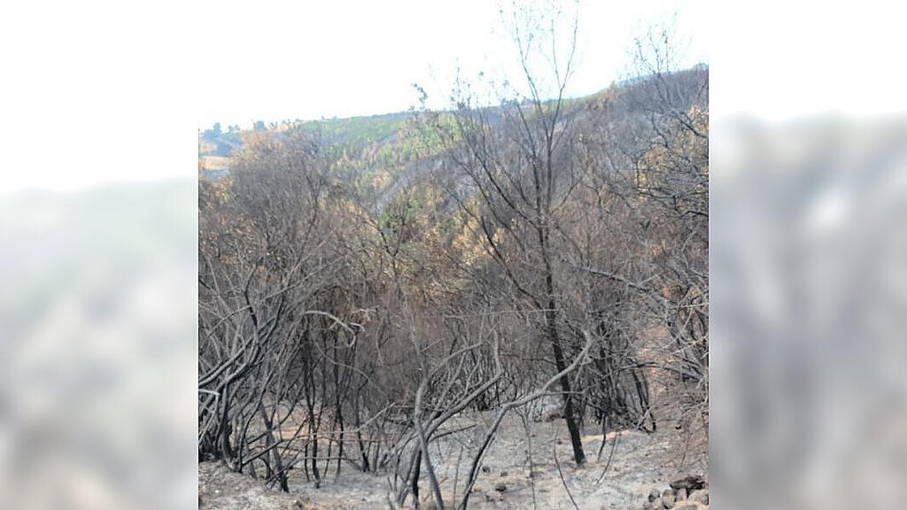 Salzburger Floriani Griechenland Wechsel
