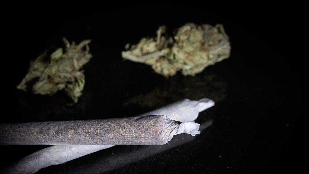 Cannabis