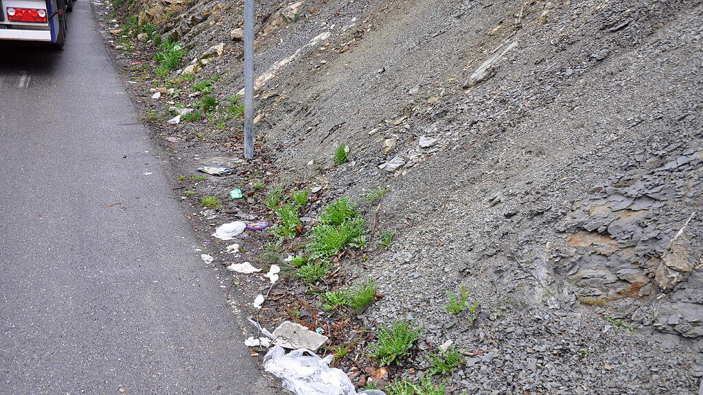 Immer mehr Müll landet neben der Straße im Bankett und den Wiesen. (Symbolbild)