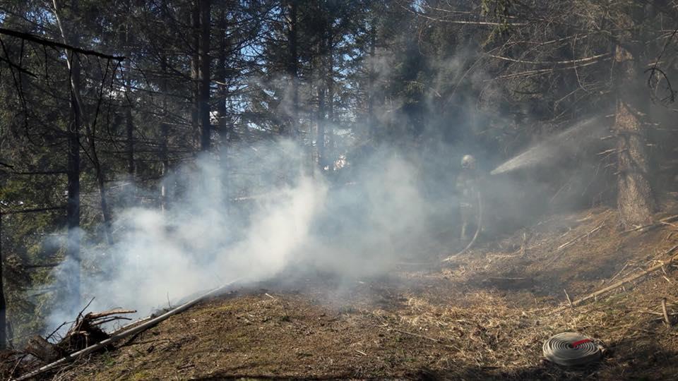 Waldbrand in St. Michael