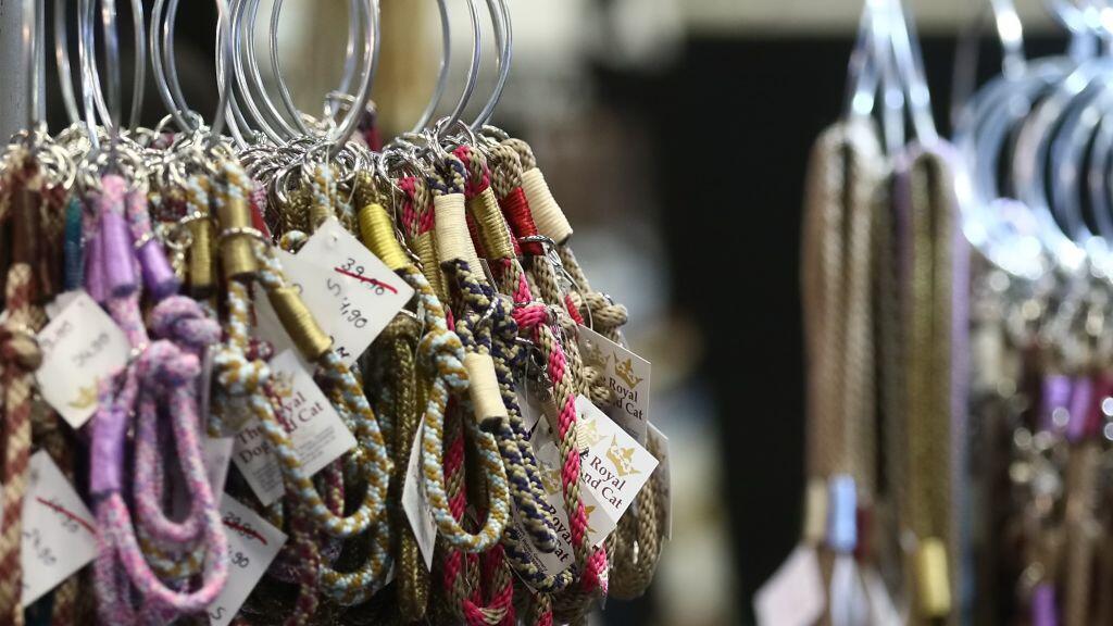 Hunde-Messe in Salzburg