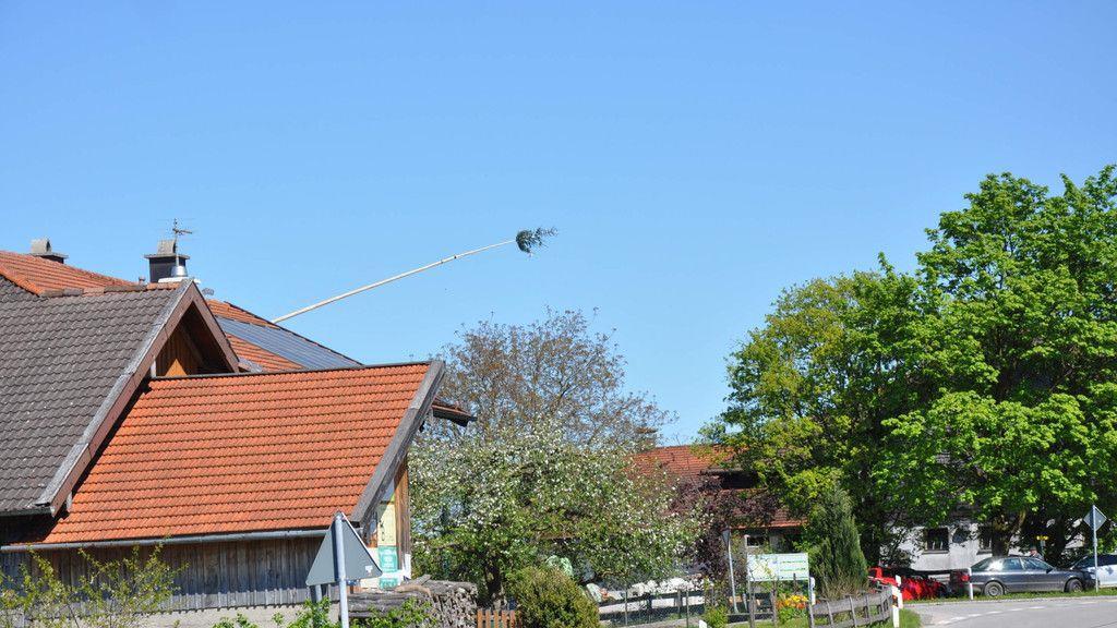Maibaumaufstellen in Piding und Ainring