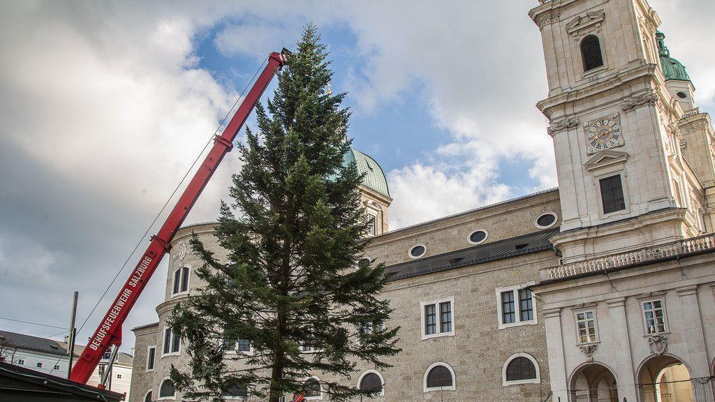 Christbaum am Residenzplatz I