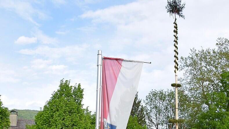 Maibaumaufstellen Anif, Maibaum