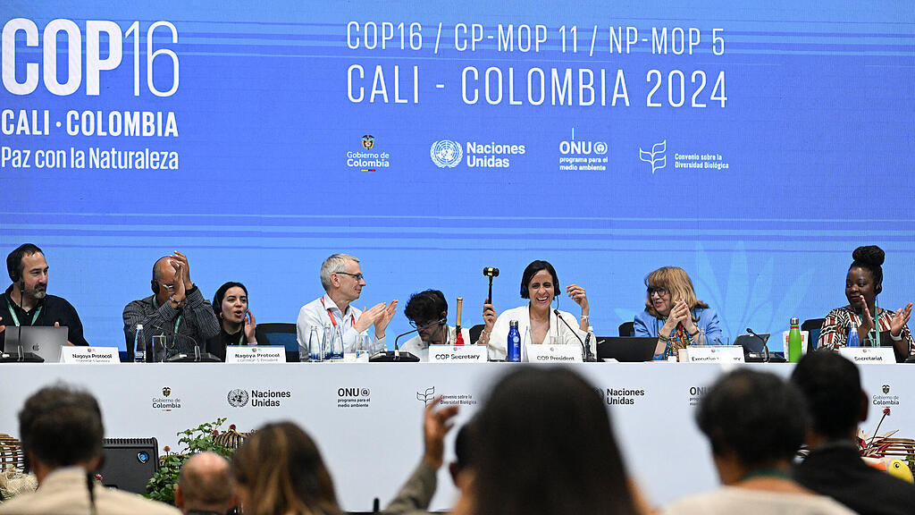 Konferenz in Cali