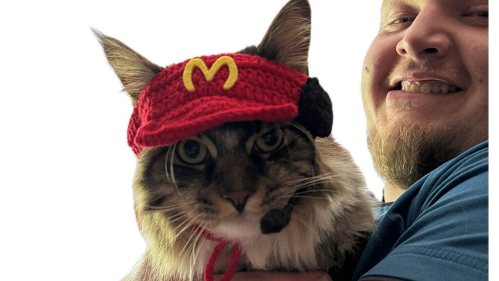 Weltkatzentag 2025